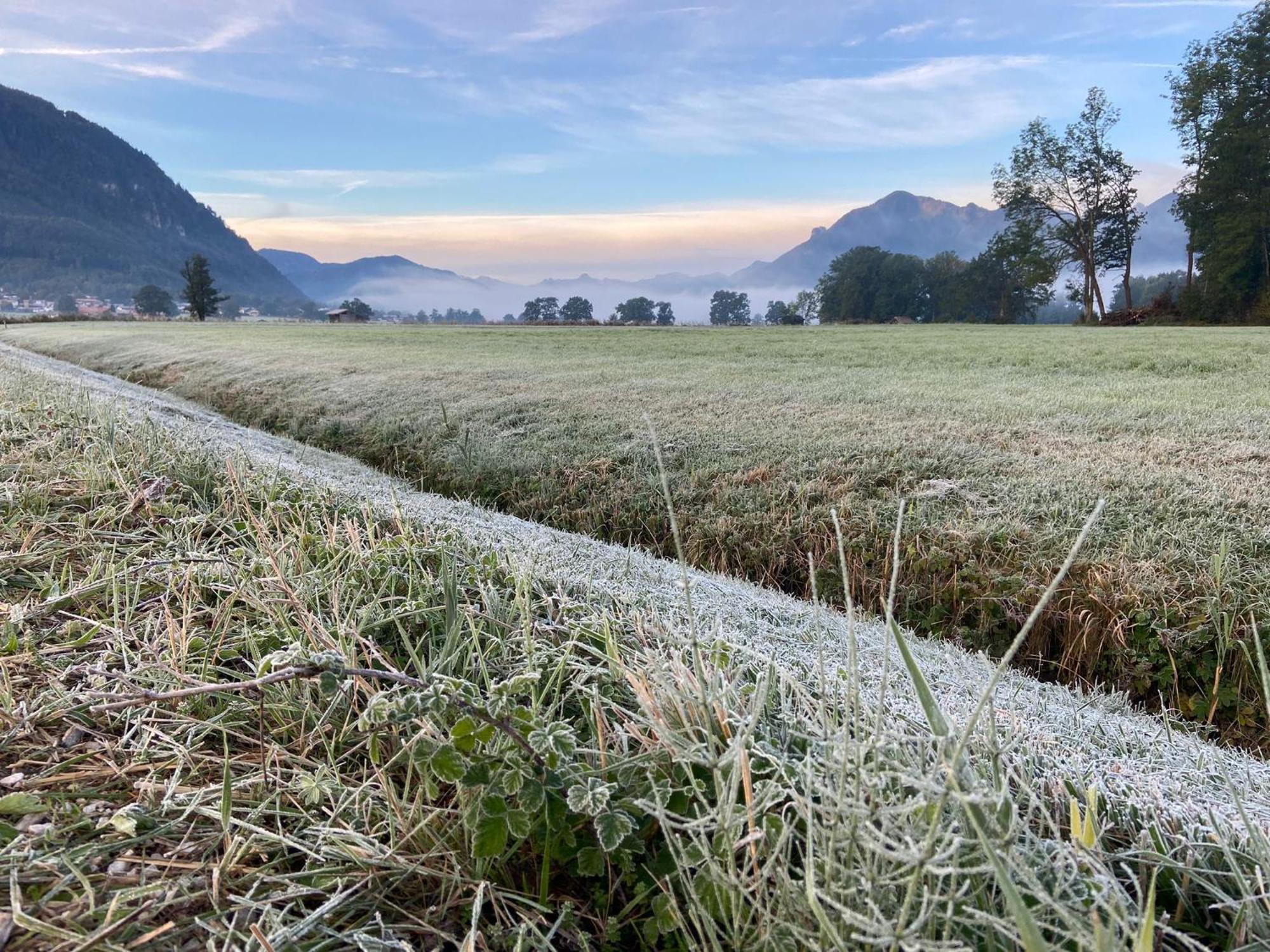 Hochgern *