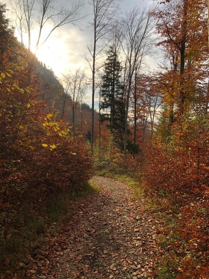 Hochgern *